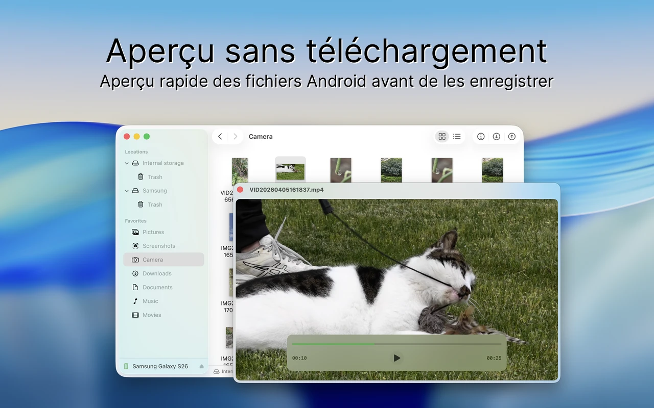 Interface Findroid - Aperçu rapide