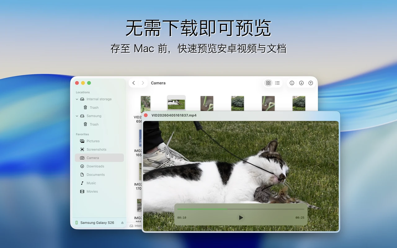 Findroid 界面 - Quick Look